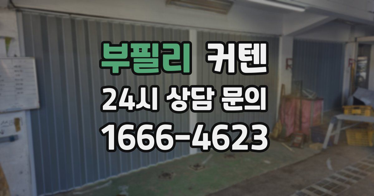 부필리 커텐
