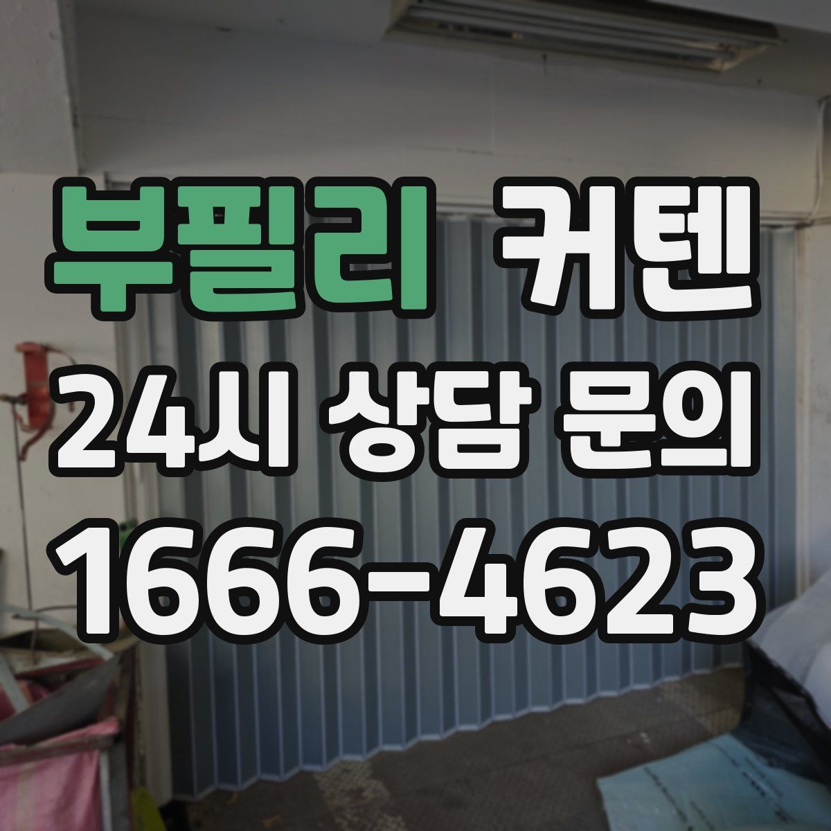부필리 커텐