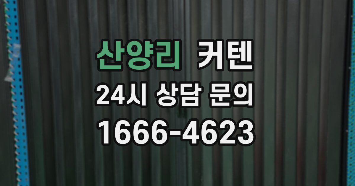 산양리 커텐