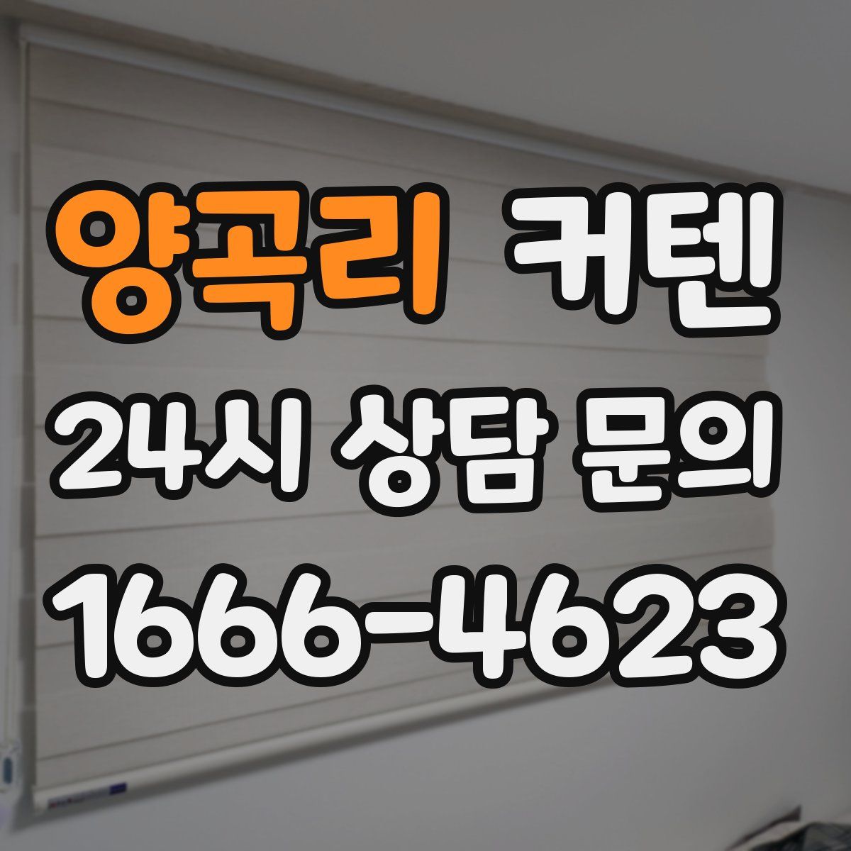 양곡리 커텐