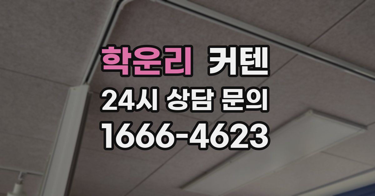 학운리 커텐