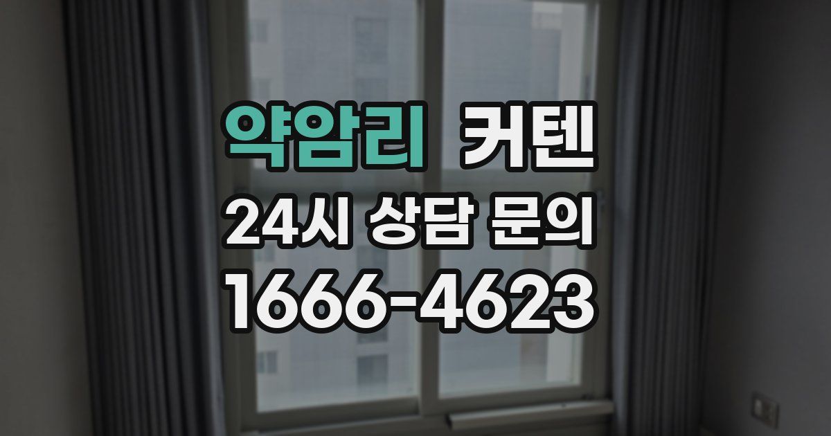 약암리 커텐