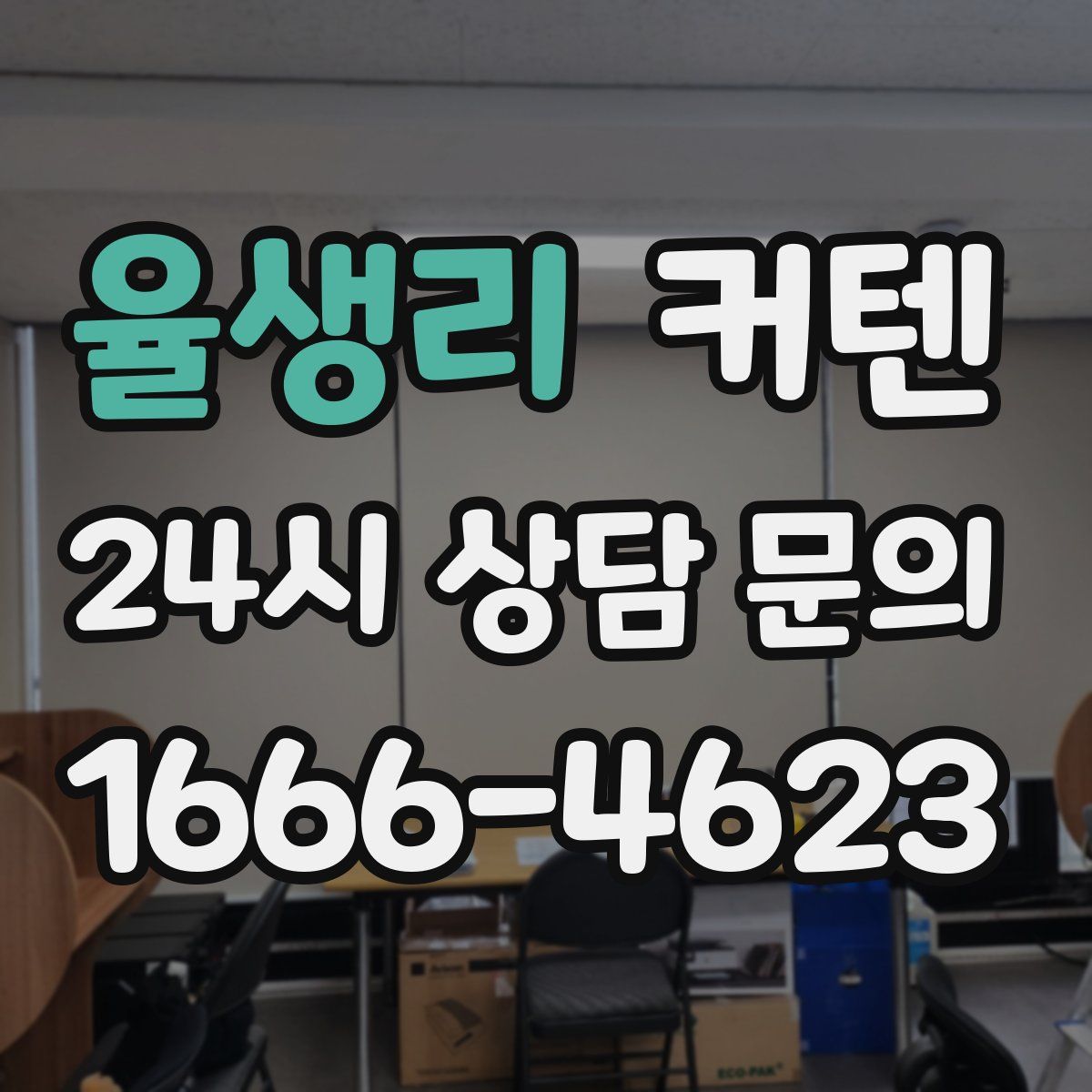 율생리 커텐