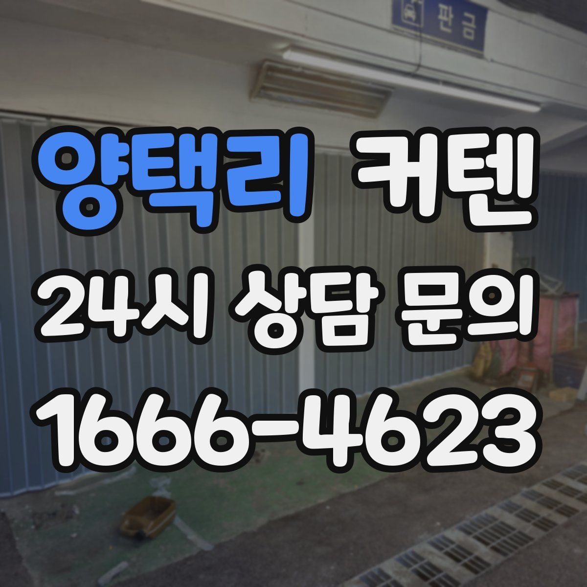 양택리 커텐