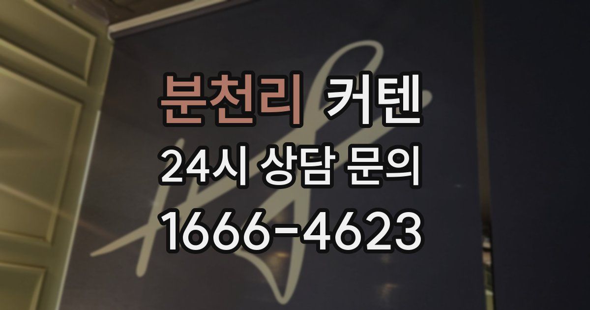 분천리 커텐