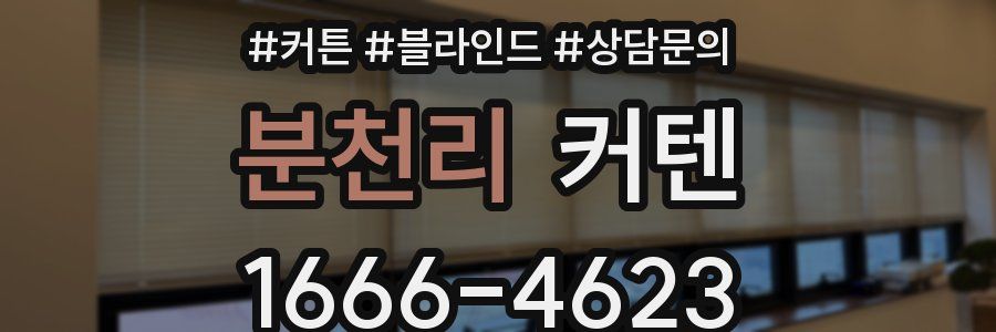 분천리 커텐