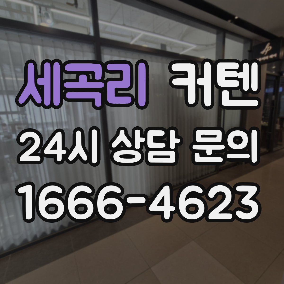 세곡리 커텐