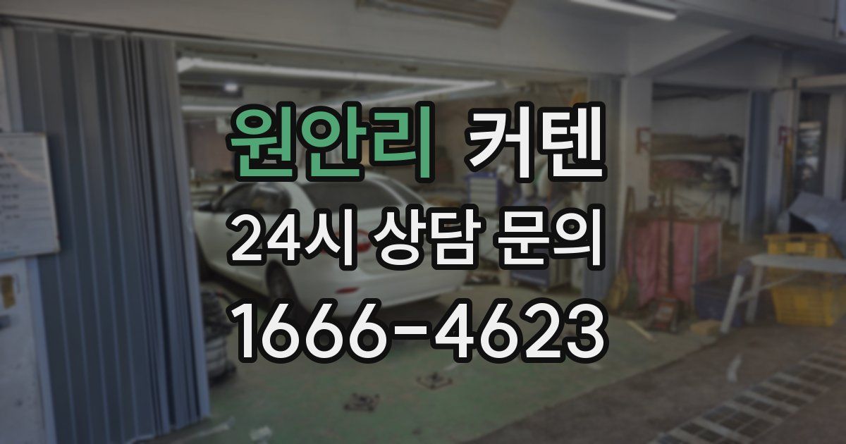 원안리 커텐