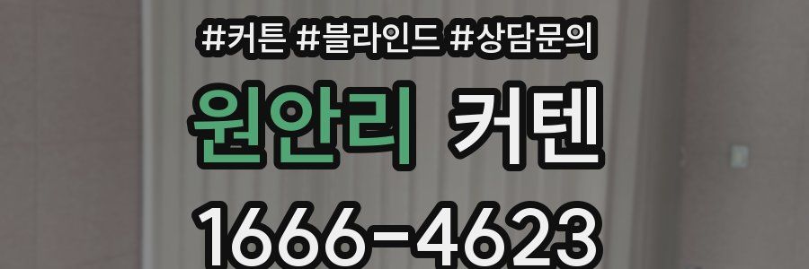 원안리 커텐