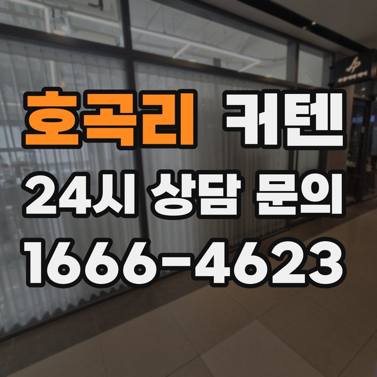 호곡리 커텐