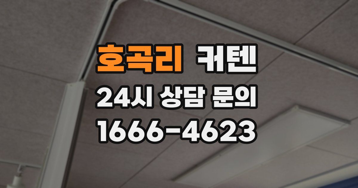 호곡리 커텐