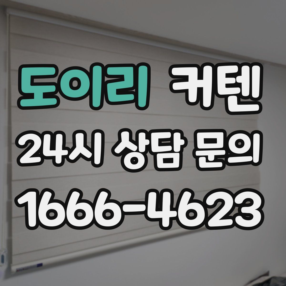 도이리 커텐