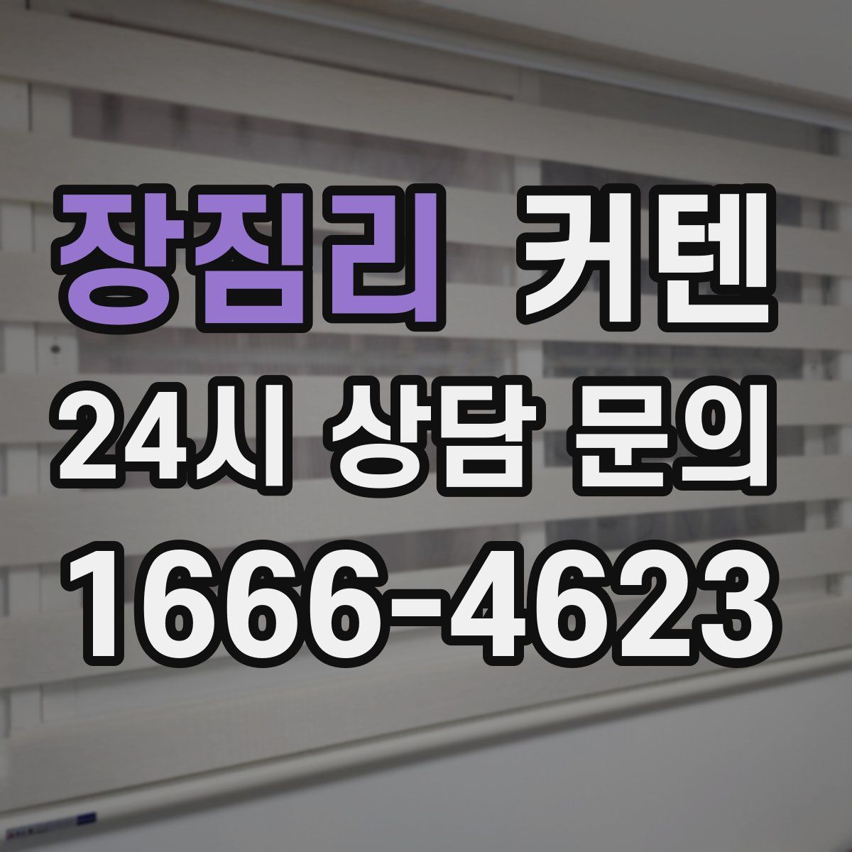 장짐리 커텐