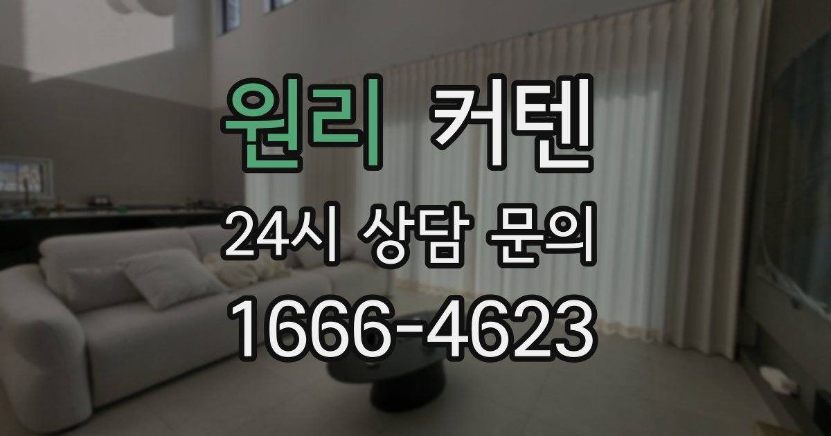 원리 커텐