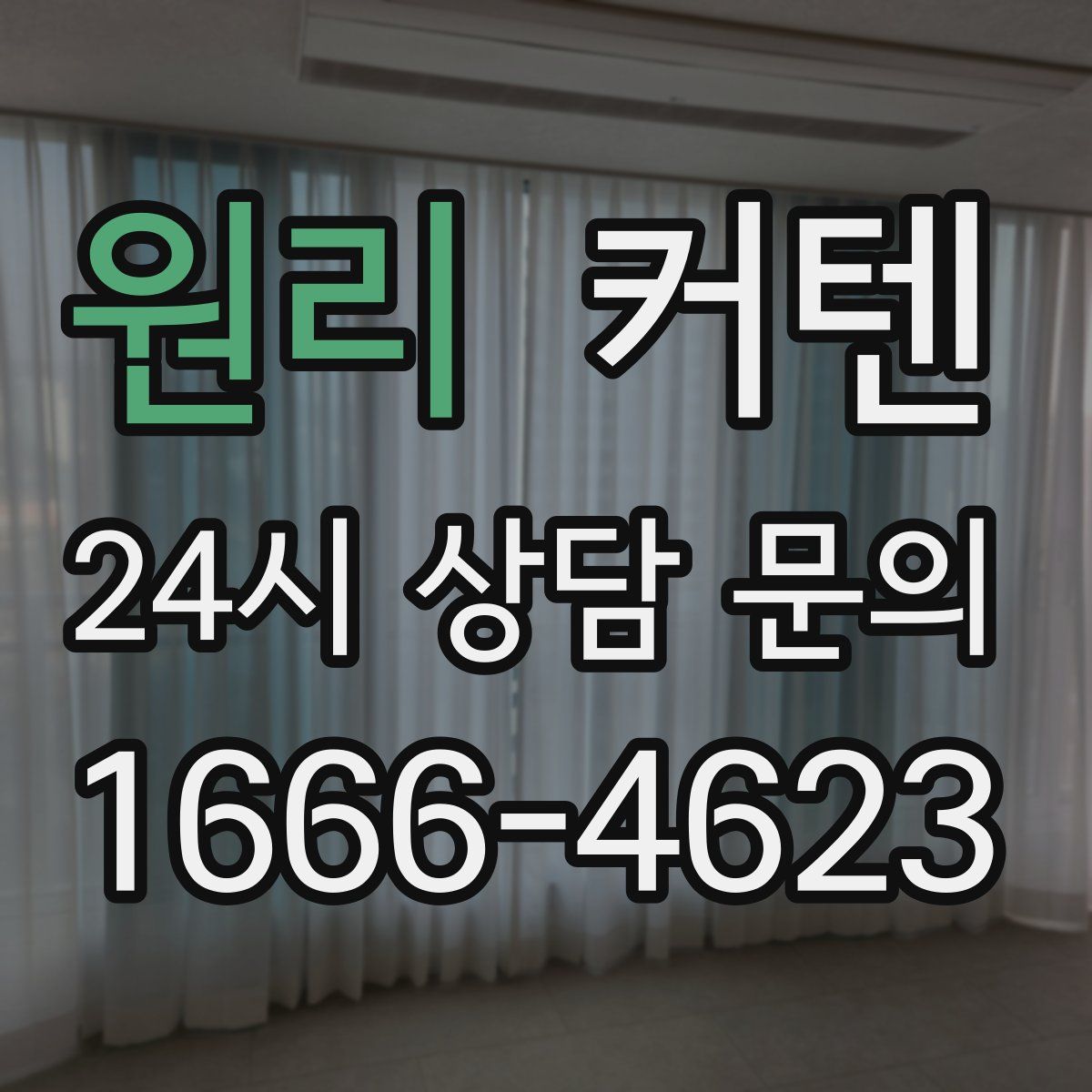 원리 커텐