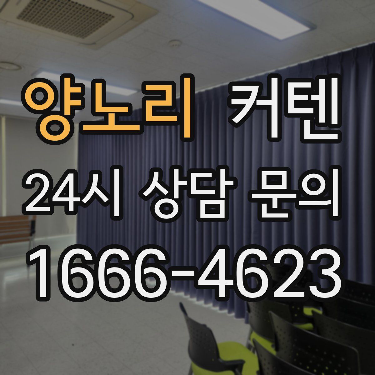 양노리 커텐