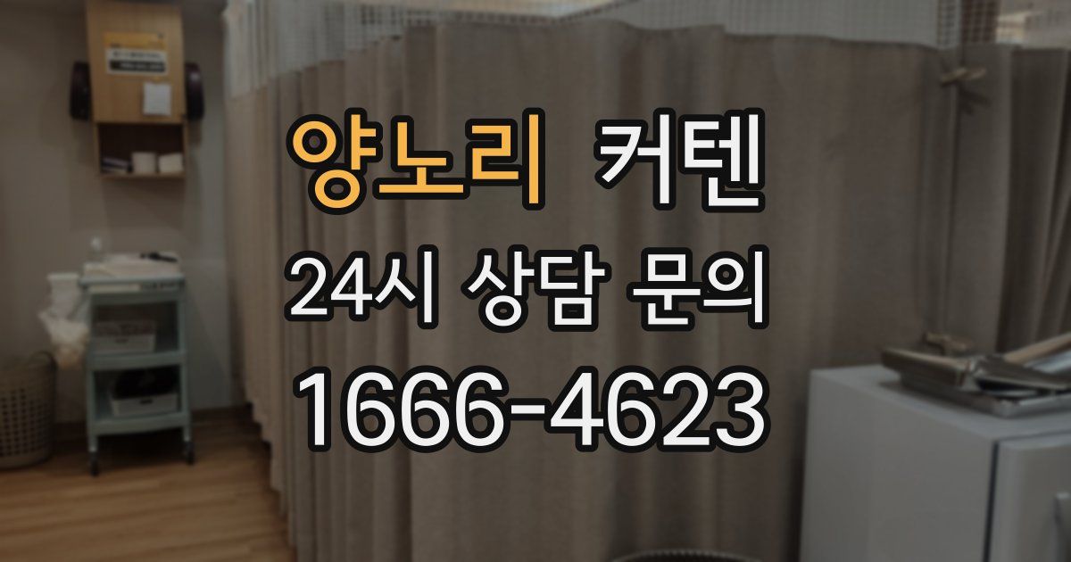 양노리 커텐