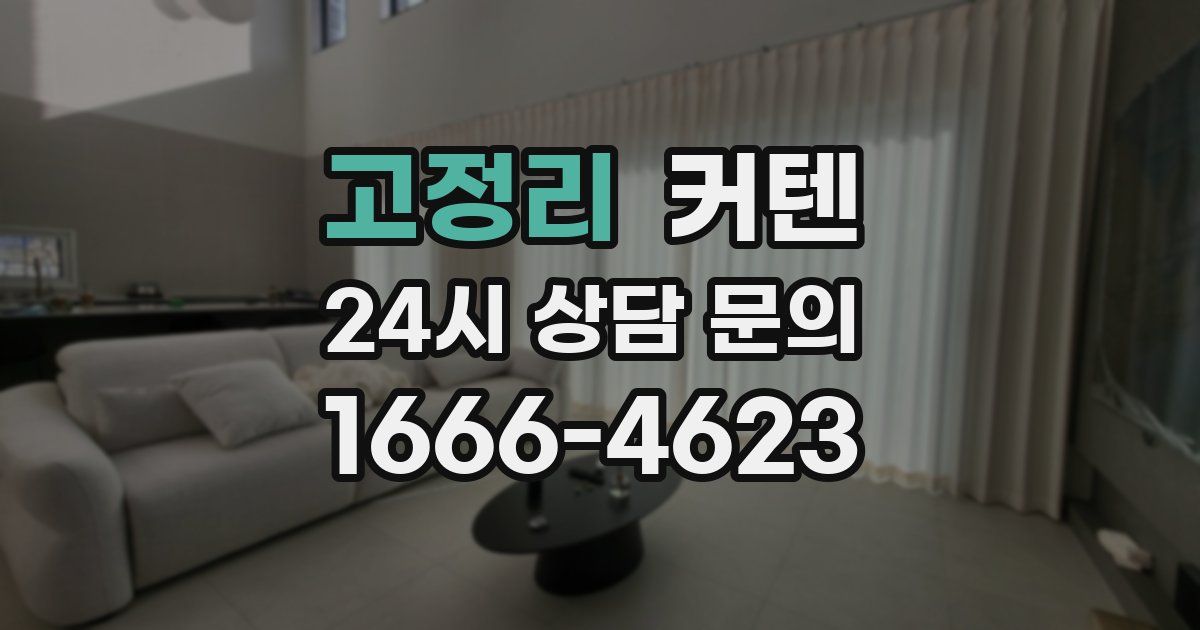 고정리 커텐