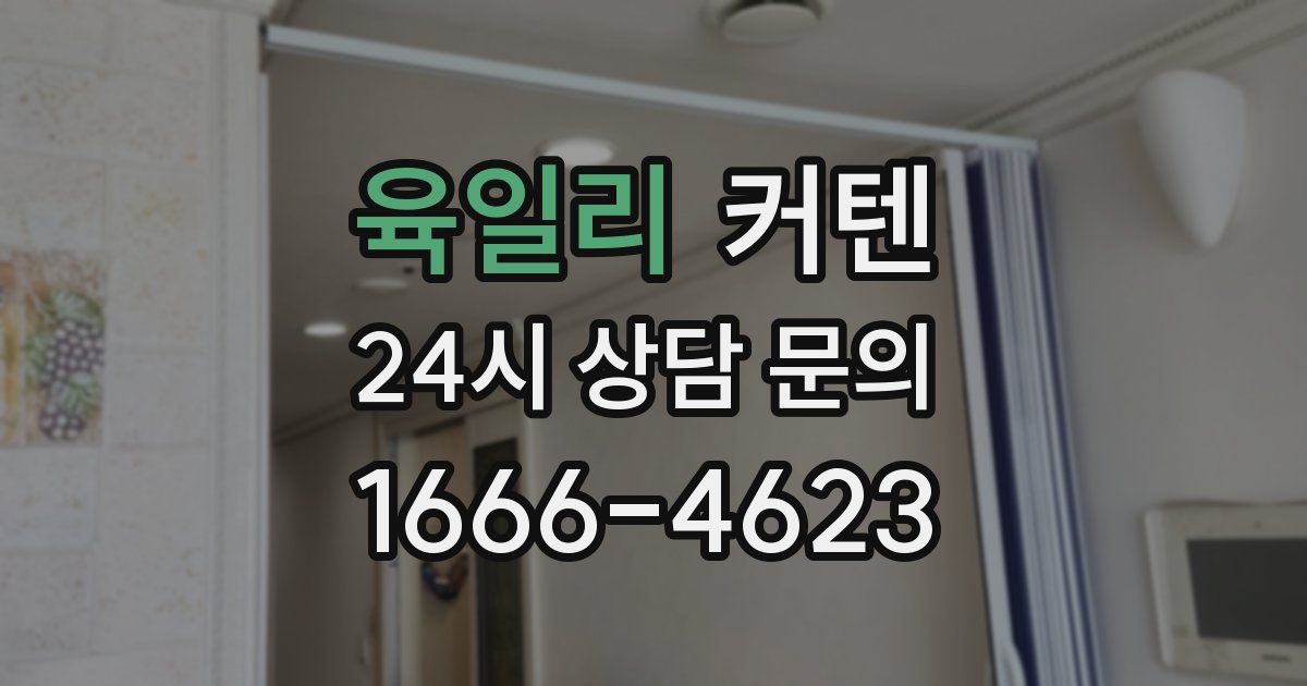 육일리 커텐