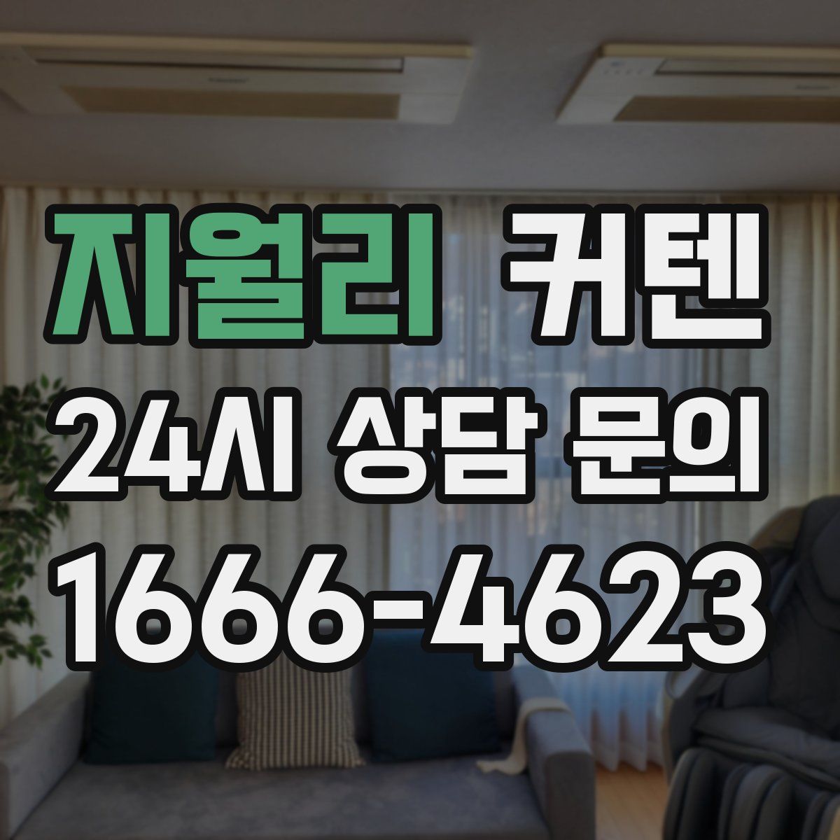지월리 커텐