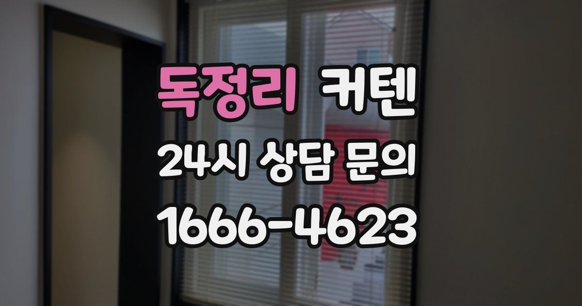 독정리 커텐