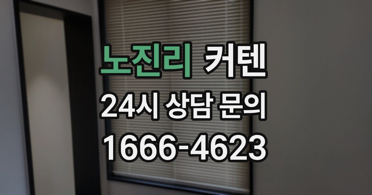 노진리 커텐