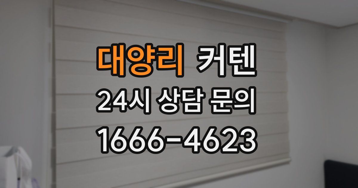 대양리 커텐