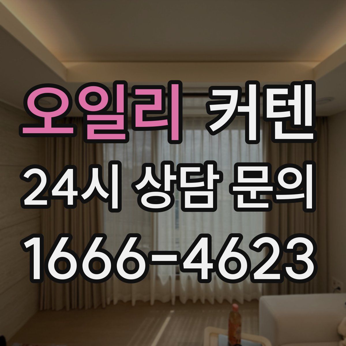 오일리 커텐