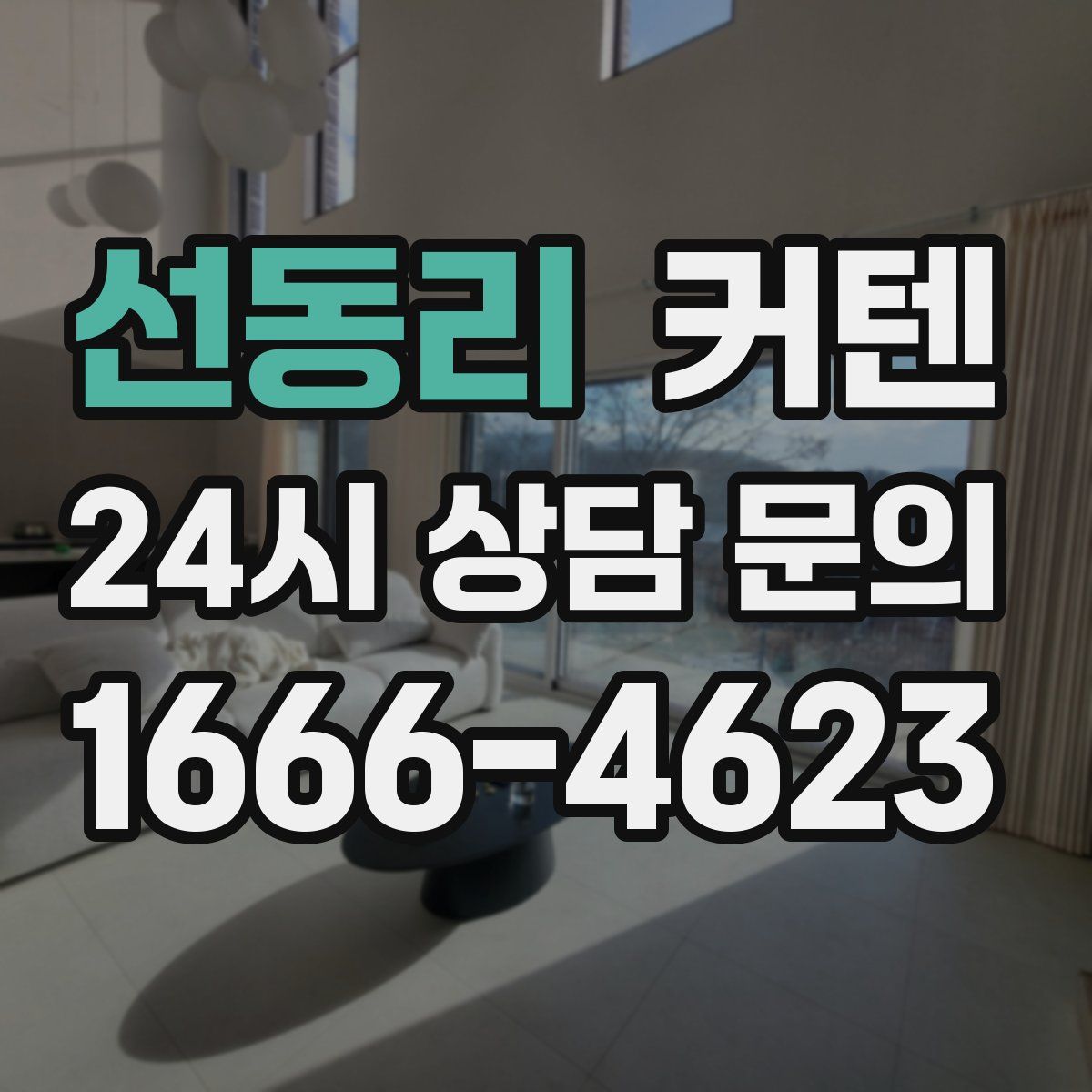 선동리 커텐