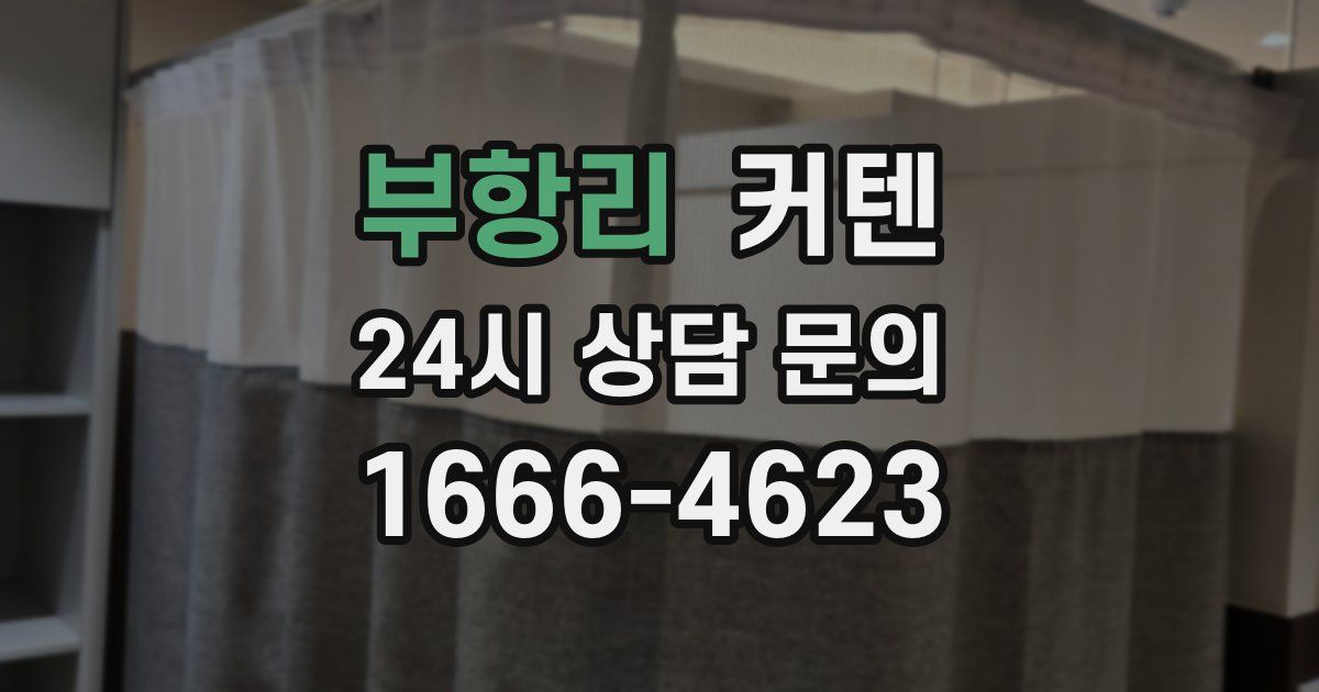 부항리 커텐
