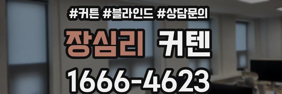 장심리 커텐