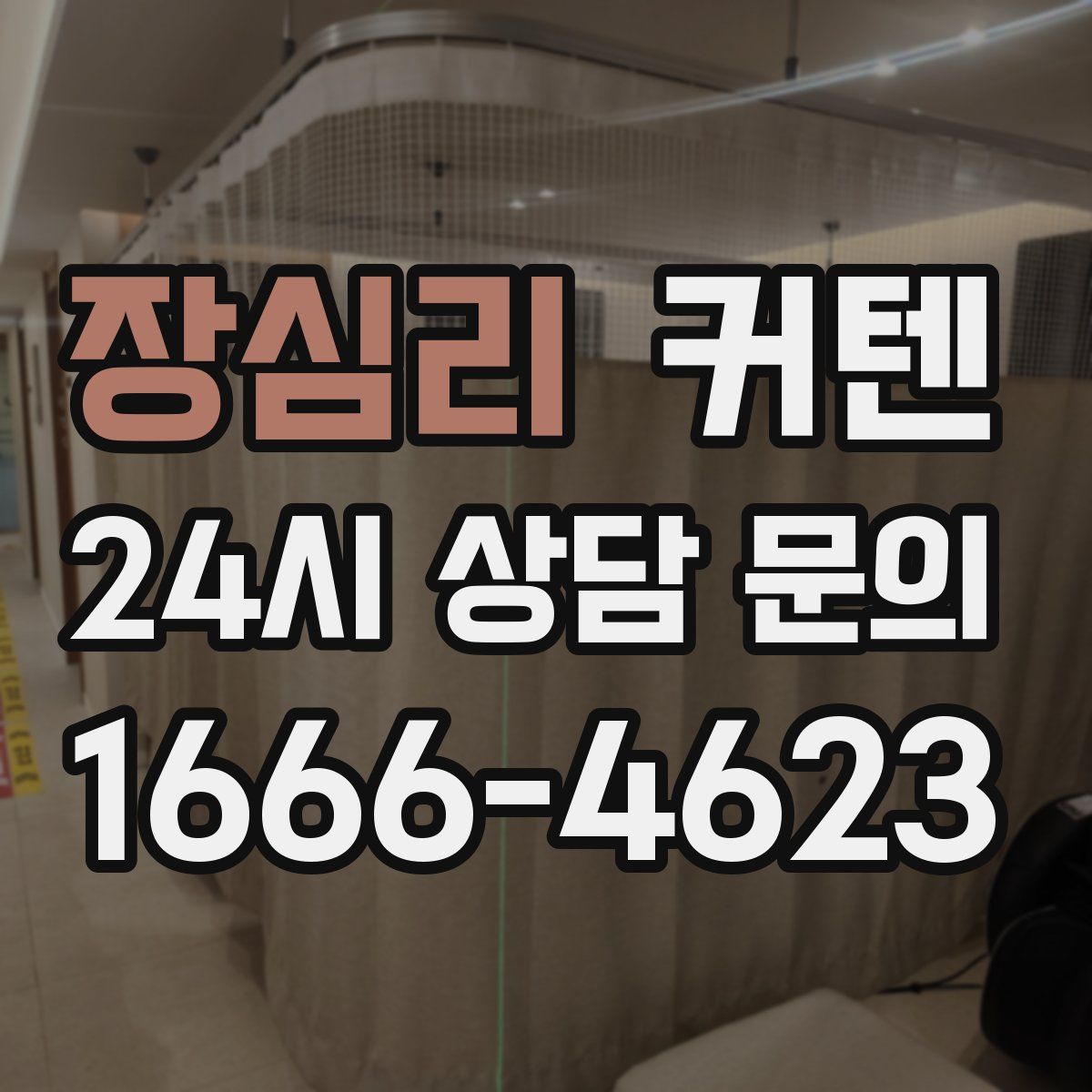 장심리 커텐