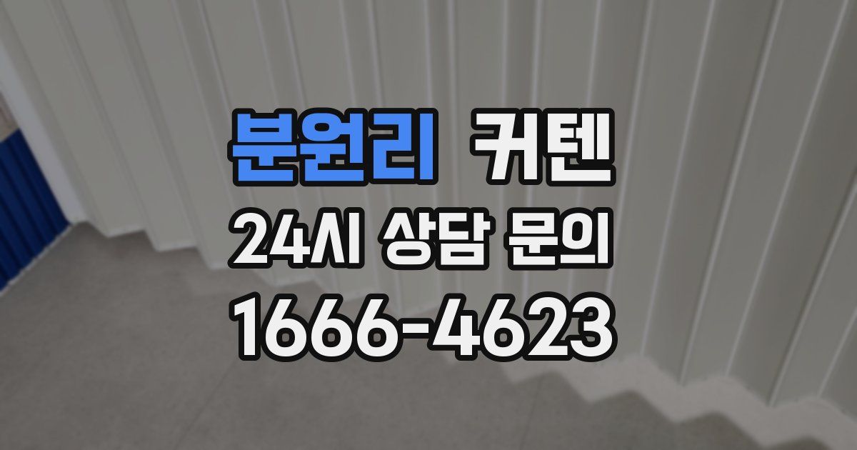 분원리 커텐