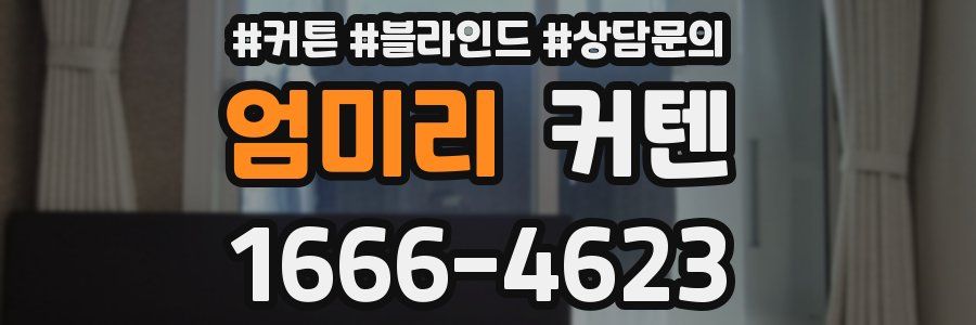 엄미리 커텐