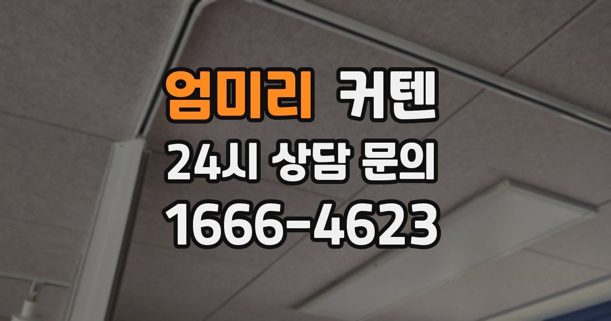 엄미리 커텐