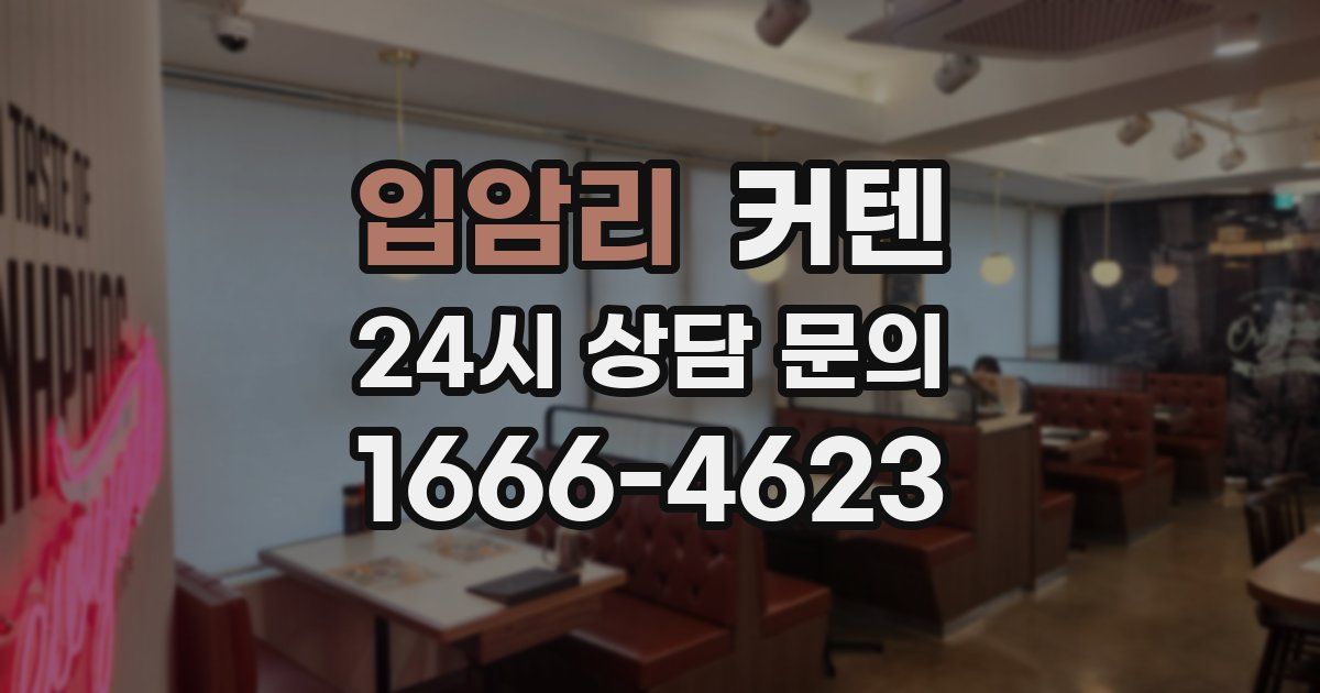 입암리 커텐