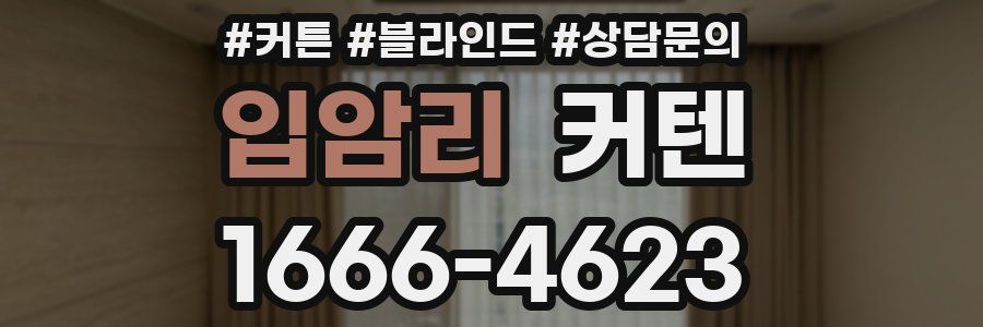 입암리 커텐
