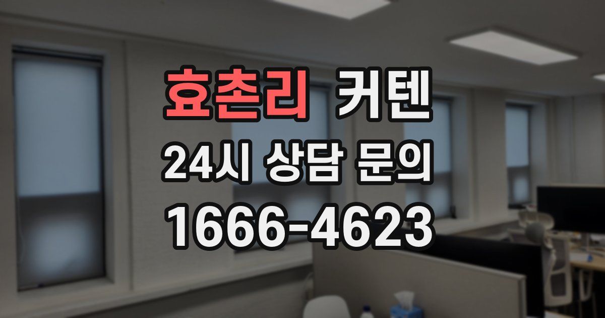 효촌리 커텐