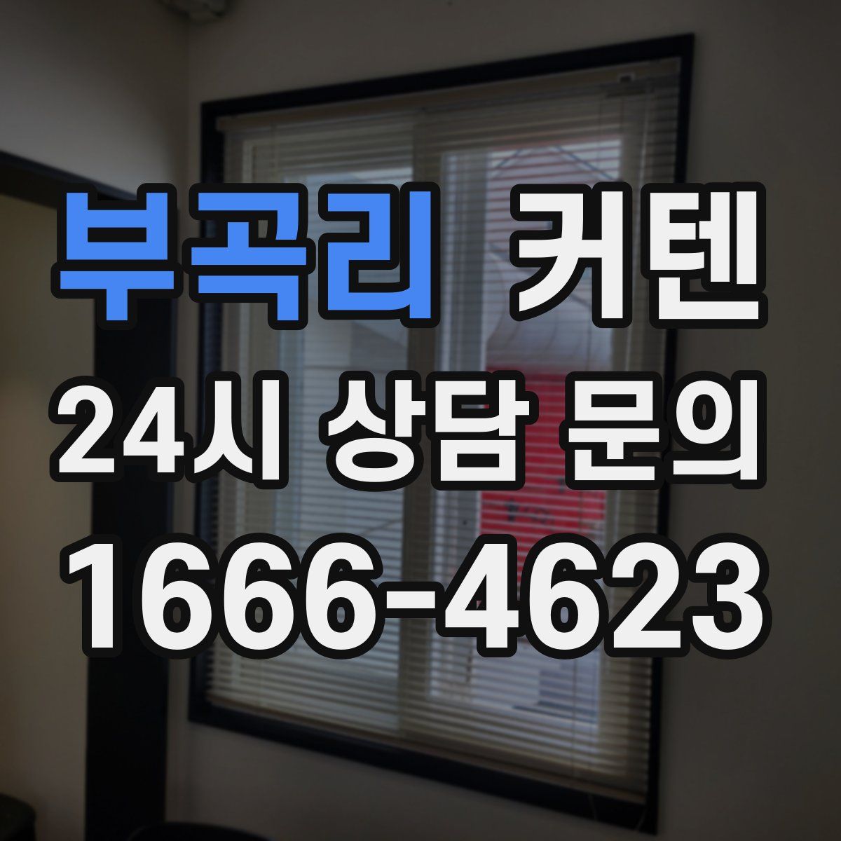 부곡리 커텐