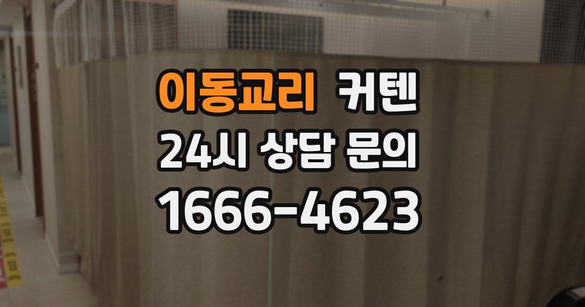 이동교리 커텐