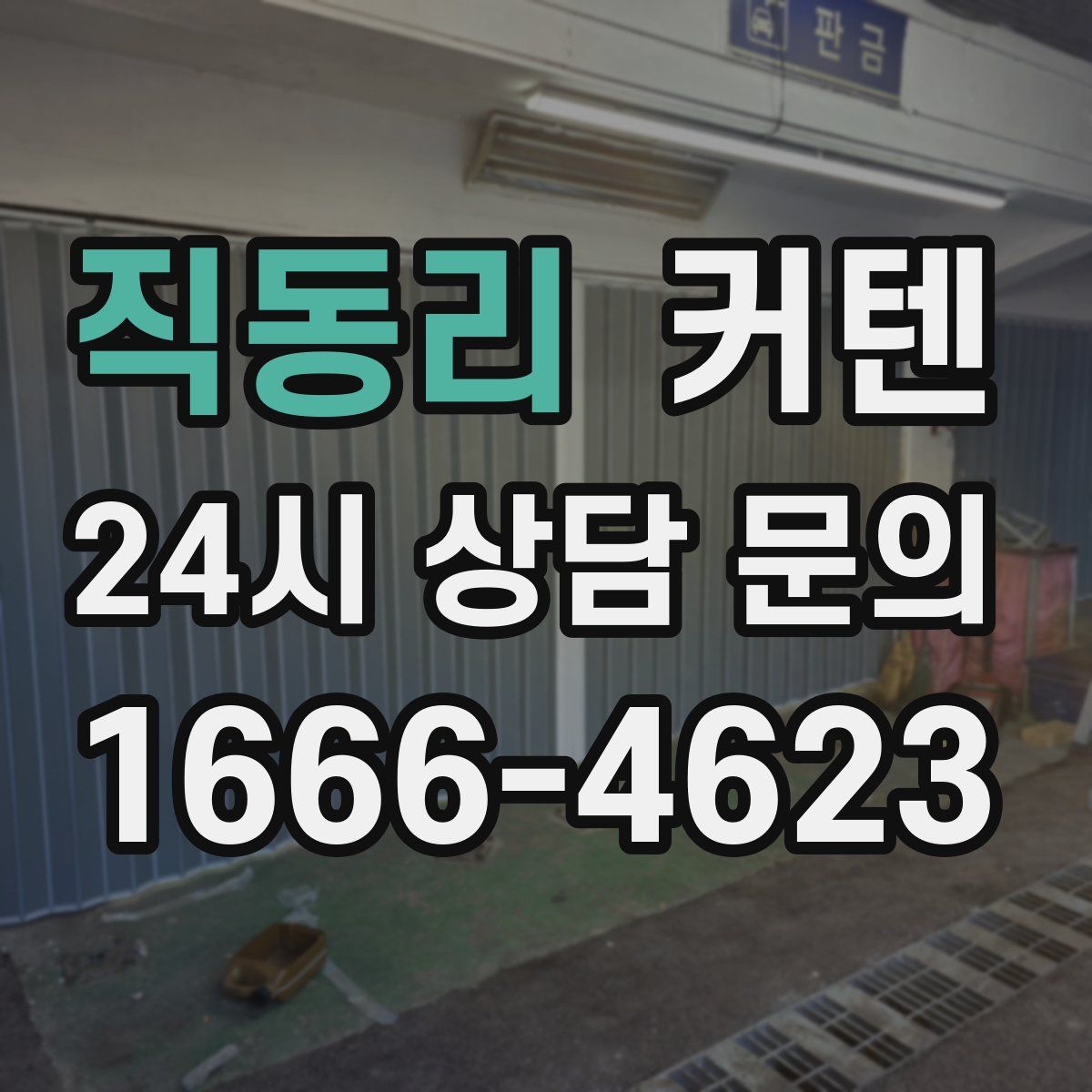 직동리 커텐