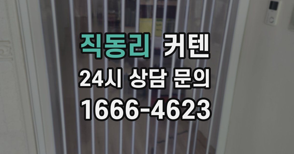 직동리 커텐