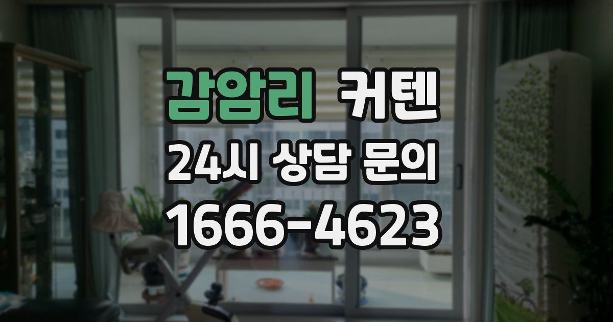 감암리 커텐