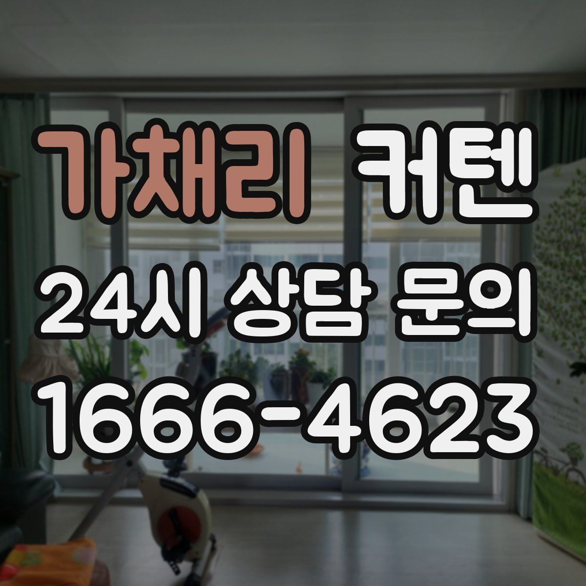 가채리 커텐