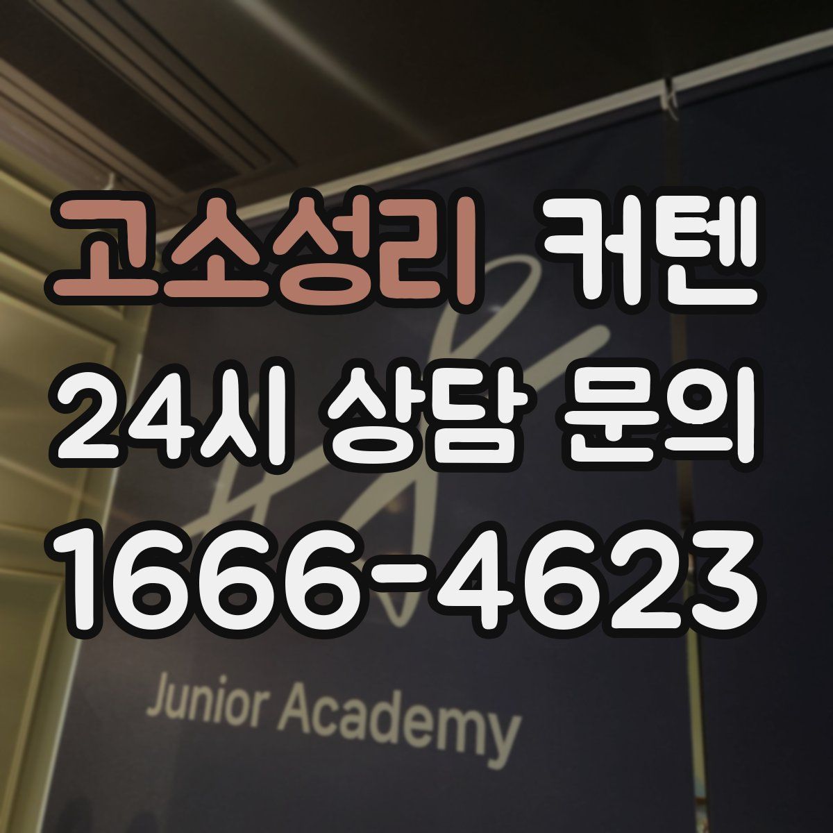 고소성리 커텐