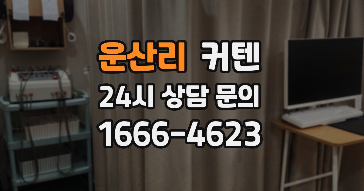 운산리 커텐