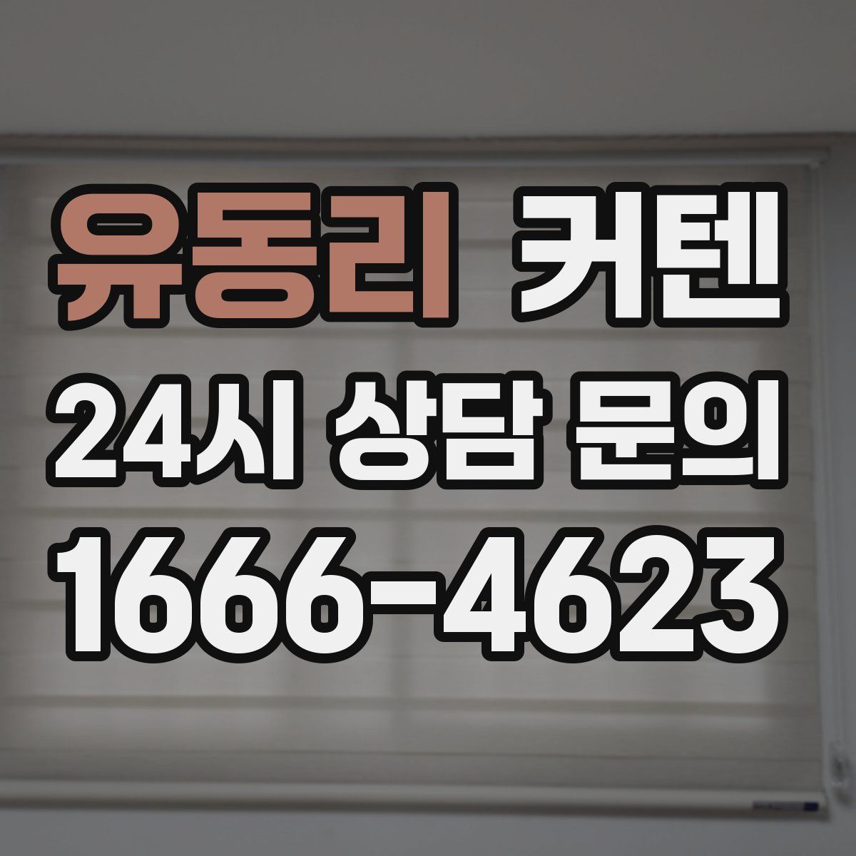 유동리 커텐