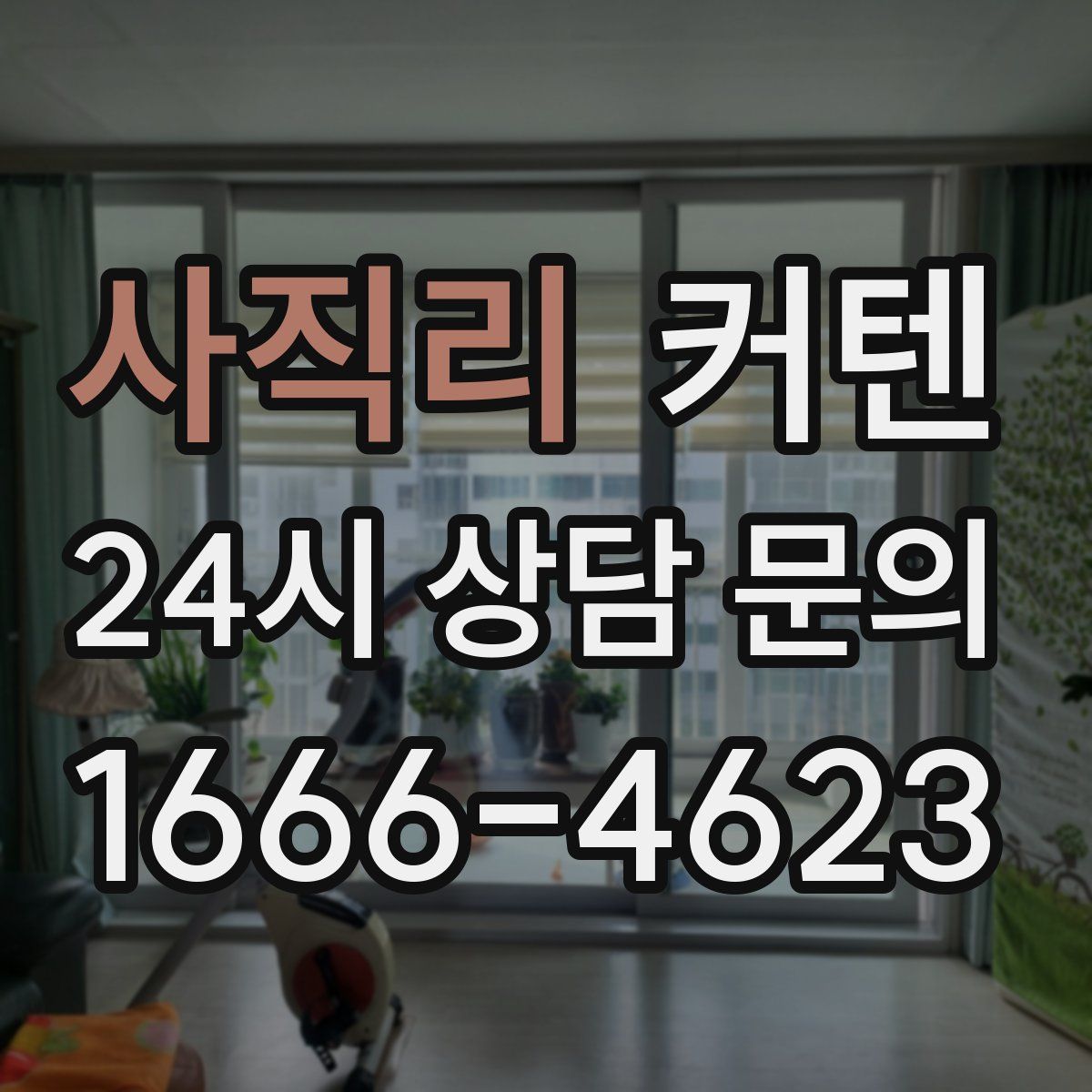 사직리 커텐
