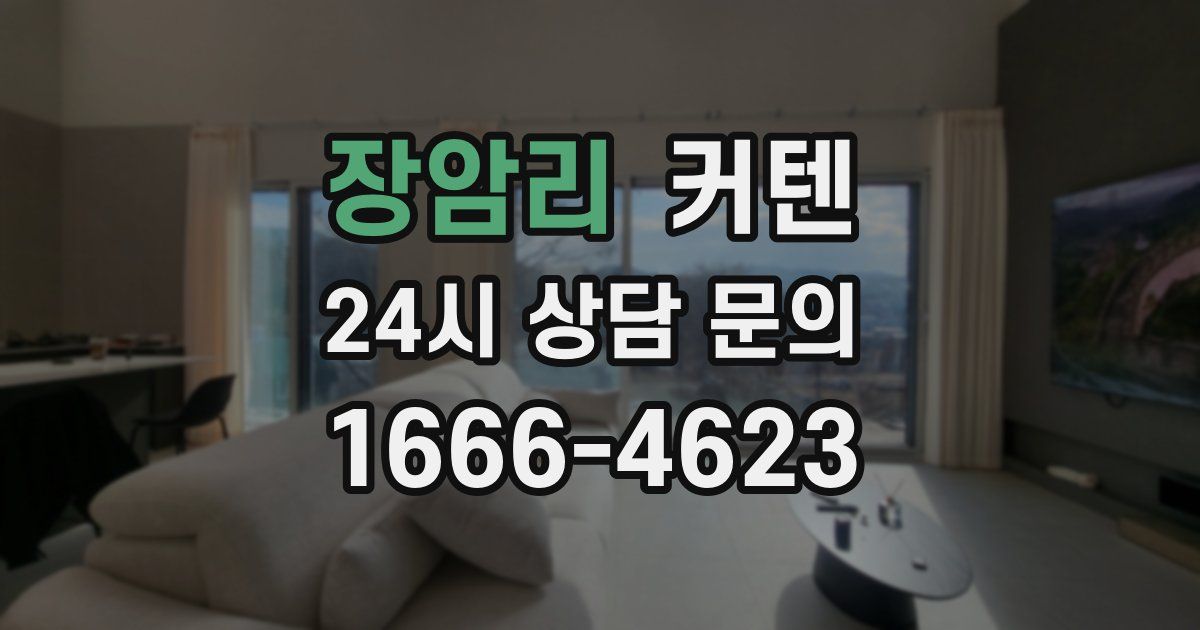 장암리 커텐