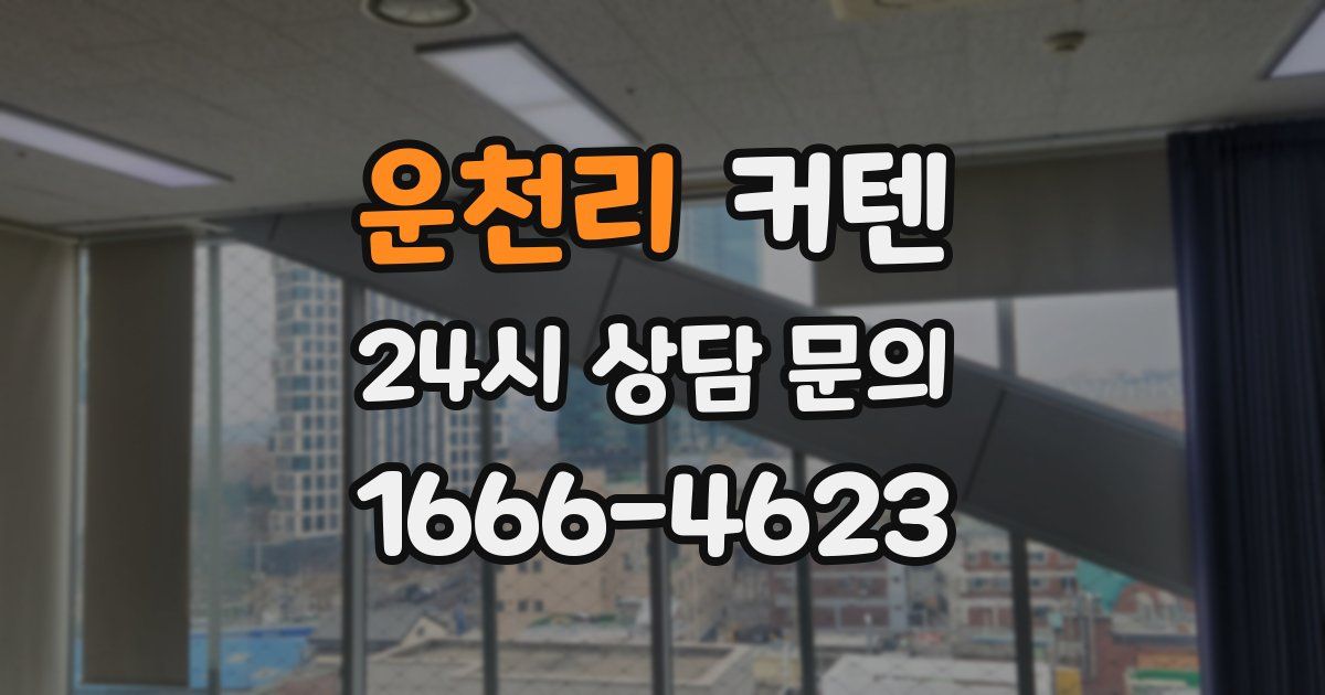운천리 커텐